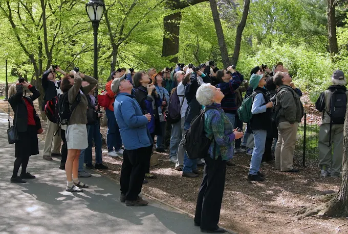 Birdwatching & Nature Walk with Don Torino