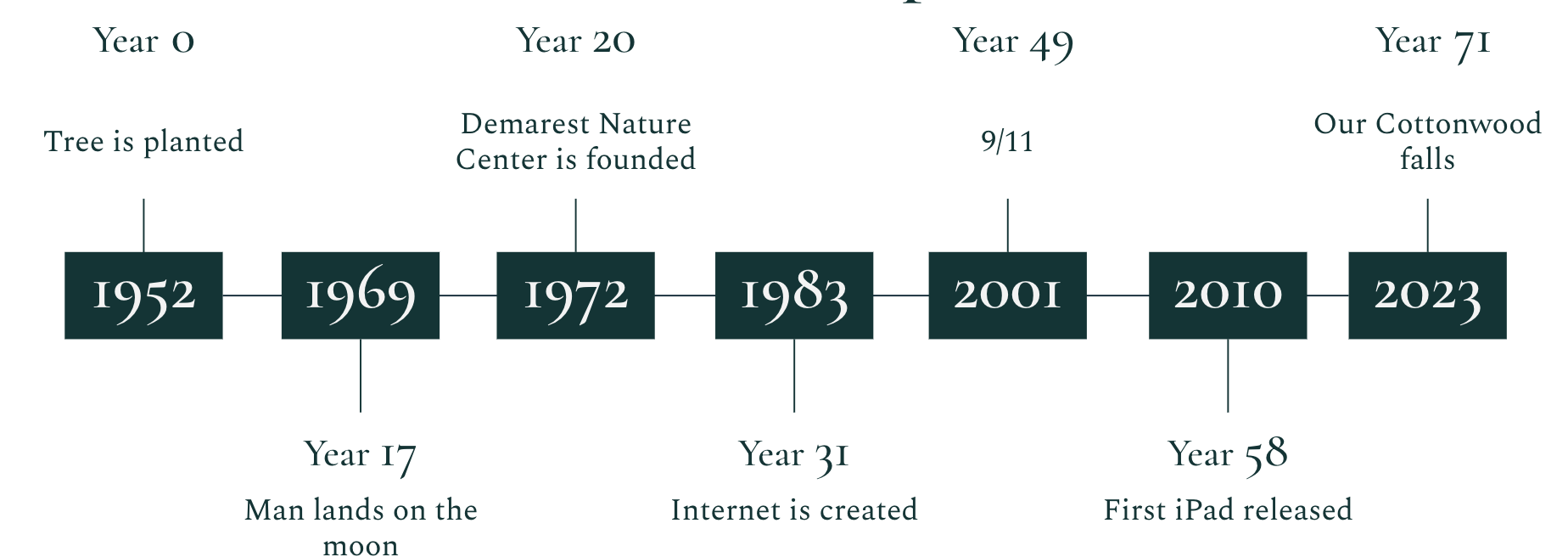 Cottonwood Tree Timeline showing 75 years of growth and historical events